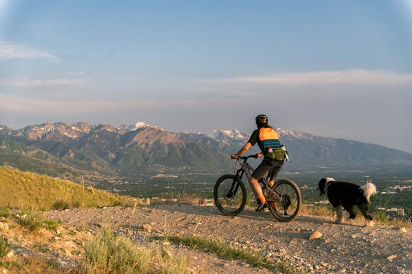 Barre cani vtt : légèreté et praticité pour vos sorties