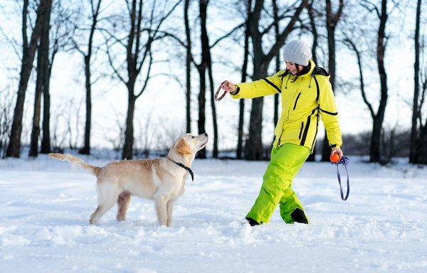 Trouver un comportementaliste pour chien : conseils pratiques
